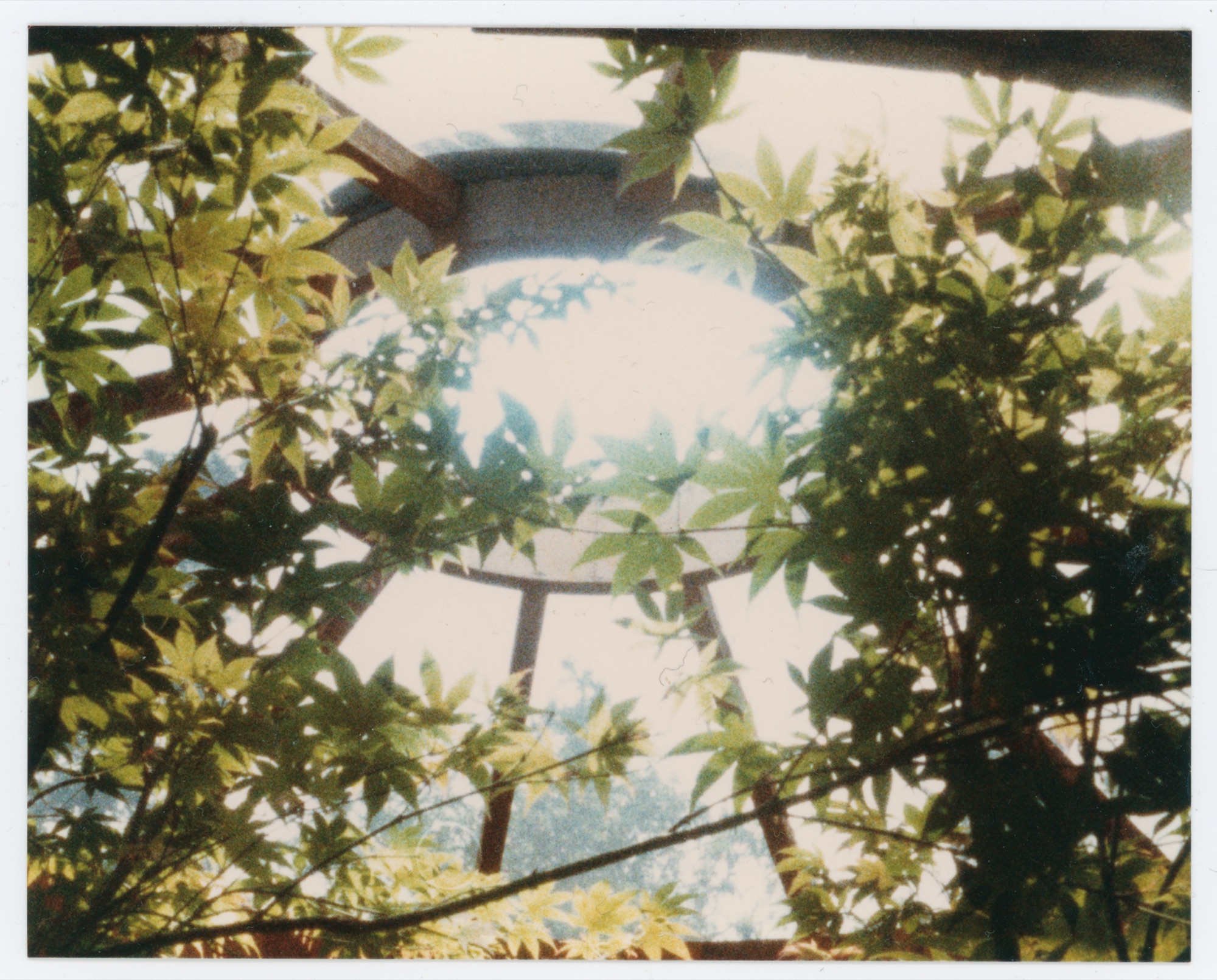 Hunter House (HH-FRH-0009) — photograph, Frances Hunter Collection