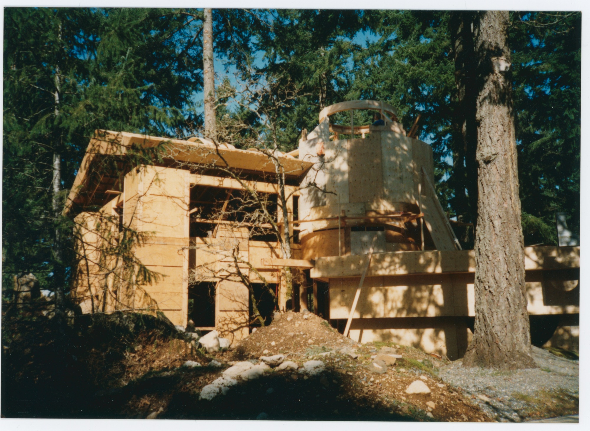 Hunter House — Tree now missing (HH-FRH-0020) — photograph, Frances Hunter Collection